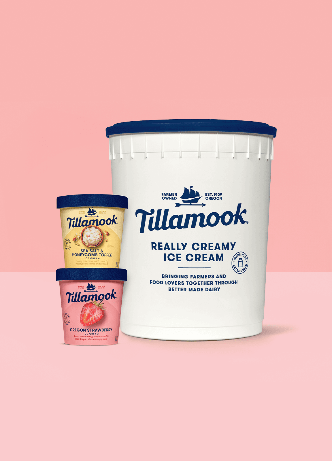 Tillamook strawberry ice cream