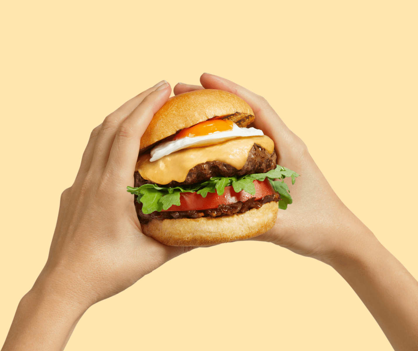 Burger in hands image