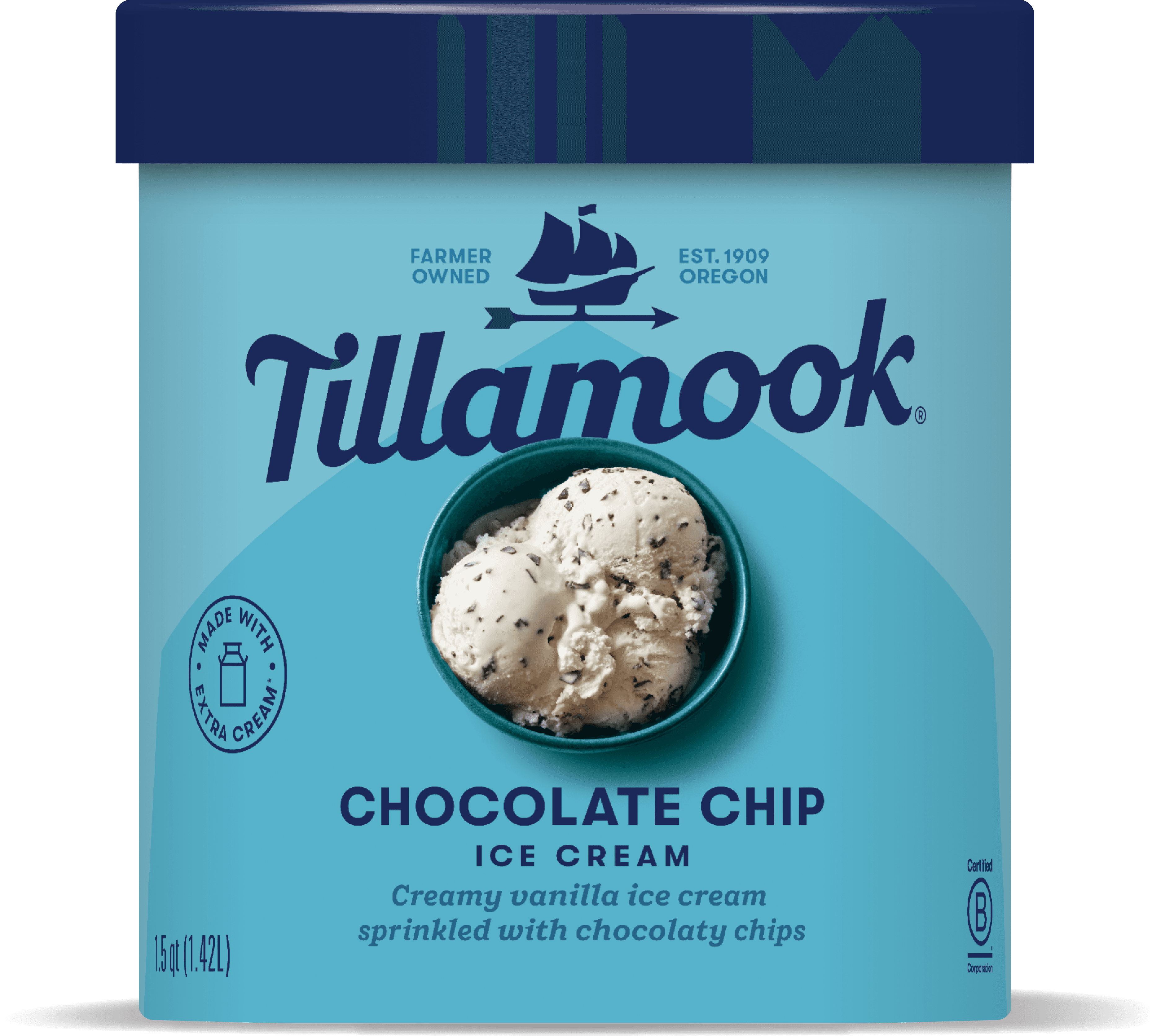 Chocolate Chip Ice Cream